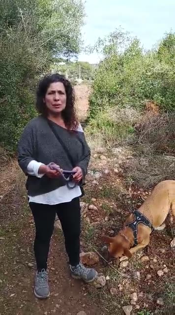 Testimonio de Montserrat Pascual